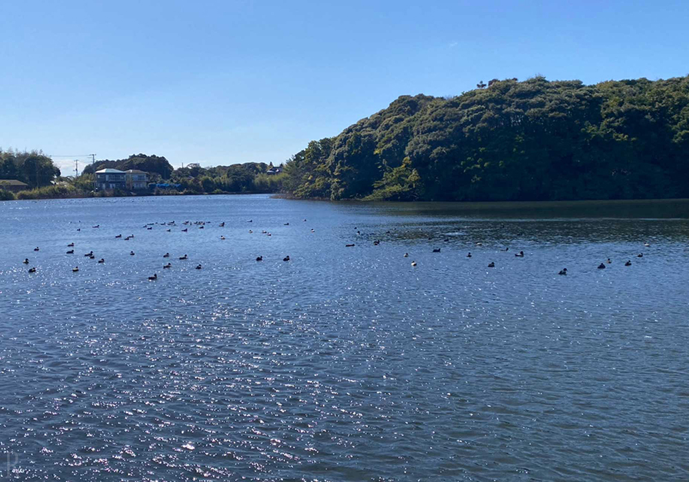 山里と海に挟まれた抜群の立地